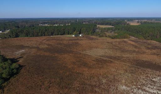 Photo #9 of Off Highway 41 South, Lake View, SC 76.4 acres