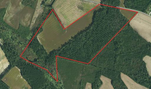 Photo #1 of SOLD property in Off Dallas Road, Lumberton, NC 98.3 acres