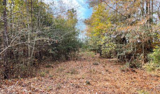 Photo #14 of SOLD property in Off Mullet Drive, Ivor, VA 25.5 acres