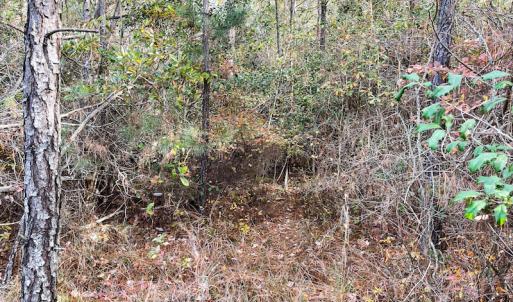 Photo #16 of SOLD property in Off Mullet Drive, Ivor, VA 25.5 acres
