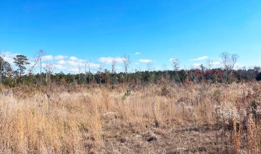Photo #2 of SOLD property in Off Mullet Drive, Ivor, VA 25.5 acres