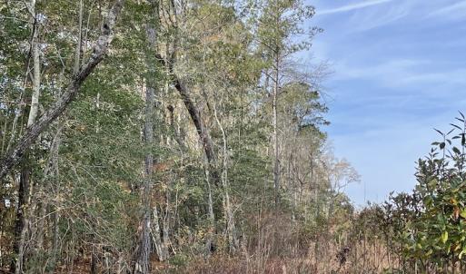 Photo #21 of SOLD property in Off Mullet Drive, Ivor, VA 25.5 acres