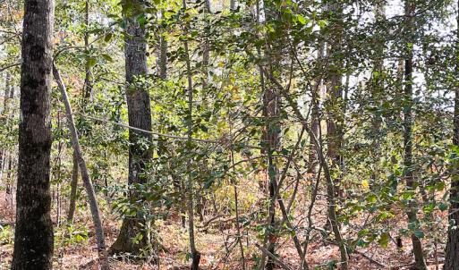 Photo #23 of SOLD property in Off Mullet Drive, Ivor, VA 25.5 acres