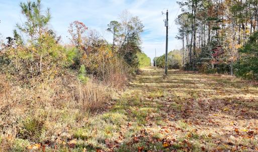 Photo #25 of SOLD property in Off Mullet Drive, Ivor, VA 25.5 acres