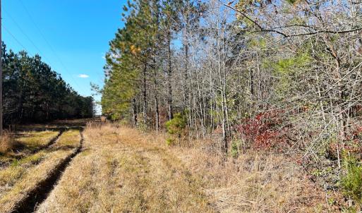 Photo #28 of SOLD property in Off Mullet Drive, Ivor, VA 25.5 acres