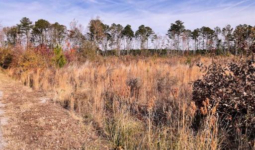 Photo #3 of SOLD property in Off Mullet Drive, Ivor, VA 25.5 acres