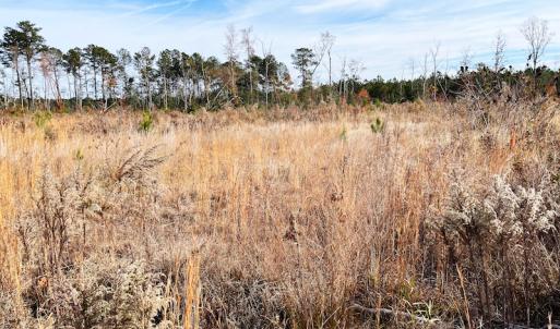 Photo #5 of SOLD property in Off Mullet Drive, Ivor, VA 25.5 acres