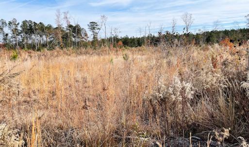 Photo #6 of SOLD property in Off Mullet Drive, Ivor, VA 25.5 acres