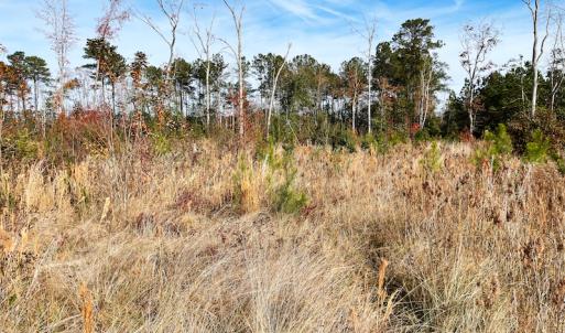 Photo #7 of SOLD property in Off Mullet Drive, Ivor, VA 25.5 acres