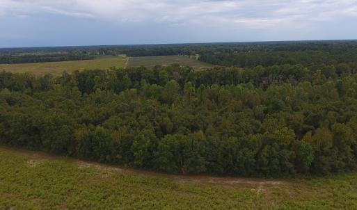 Photo #3 of SOLD property in Off Brayboy Road, Rowland, NC 10.0 acres