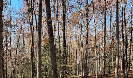 Photo #12 of SOLD property in Off Middlebrook Dr, Doswell, VA 16.8 acres