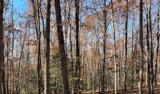 Photo #12 of SOLD property in Off Middlebrook Dr, Doswell, VA 16.8 acres
