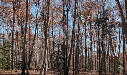 Photo #13 of SOLD property in Off Middlebrook Dr, Doswell, VA 16.8 acres