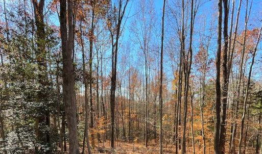 Photo #14 of SOLD property in Off Middlebrook Dr, Doswell, VA 16.8 acres