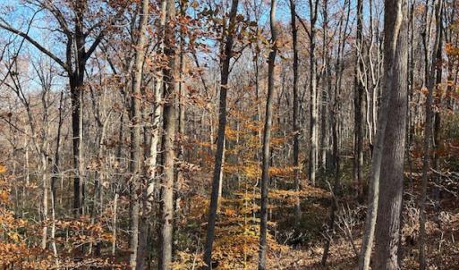 Photo #15 of SOLD property in Off Middlebrook Dr, Doswell, VA 16.8 acres