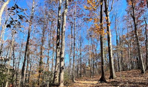 Photo #16 of SOLD property in Off Middlebrook Dr, Doswell, VA 16.8 acres