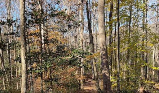 Photo #17 of SOLD property in Off Middlebrook Dr, Doswell, VA 16.8 acres