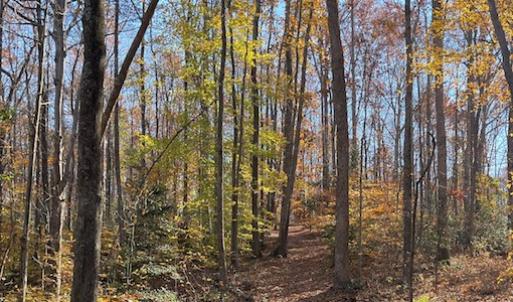 Photo #18 of SOLD property in Off Middlebrook Dr, Doswell, VA 16.8 acres