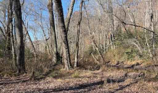 Photo #19 of SOLD property in Off Middlebrook Dr, Doswell, VA 16.8 acres