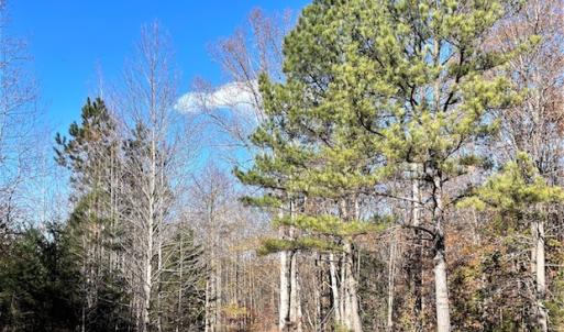 Photo #2 of SOLD property in Off Middlebrook Dr, Doswell, VA 16.8 acres