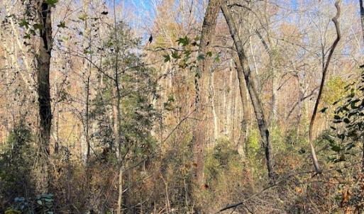 Photo #20 of SOLD property in Off Middlebrook Dr, Doswell, VA 16.8 acres