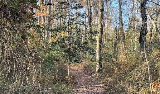 Photo #21 of SOLD property in Off Middlebrook Dr, Doswell, VA 16.8 acres