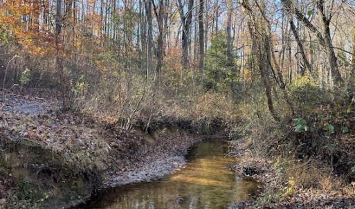 Photo #22 of SOLD property in Off Middlebrook Dr, Doswell, VA 16.8 acres