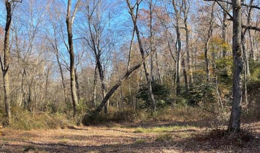 Photo #23 of SOLD property in Off Middlebrook Dr, Doswell, VA 16.8 acres