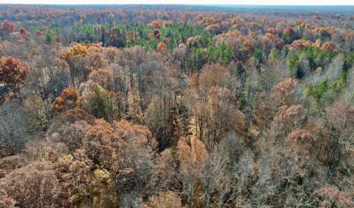 Photo #24 of SOLD property in Off Middlebrook Dr, Doswell, VA 16.8 acres