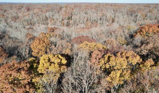 Photo #26 of SOLD property in Off Middlebrook Dr, Doswell, VA 16.8 acres