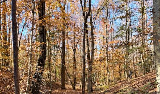 Photo #3 of SOLD property in Off Middlebrook Dr, Doswell, VA 16.8 acres