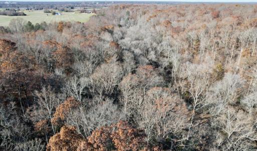 Photo #32 of SOLD property in Off Middlebrook Dr, Doswell, VA 16.8 acres