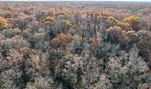 Photo #33 of SOLD property in Off Middlebrook Dr, Doswell, VA 16.8 acres