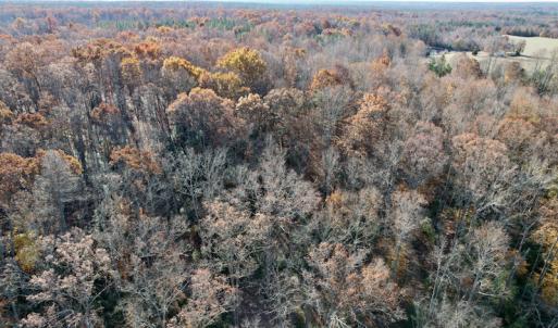 Photo #34 of SOLD property in Off Middlebrook Dr, Doswell, VA 16.8 acres