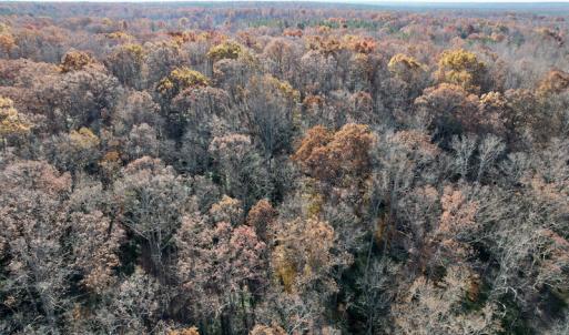 Photo #35 of SOLD property in Off Middlebrook Dr, Doswell, VA 16.8 acres