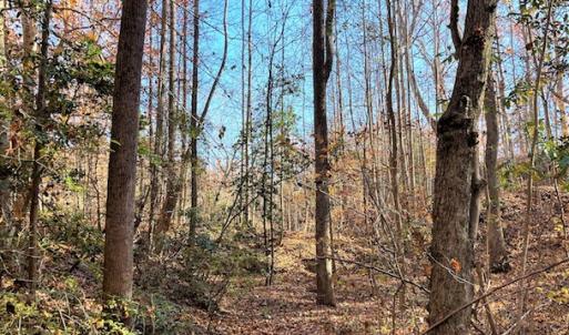 Photo #4 of SOLD property in Off Middlebrook Dr, Doswell, VA 16.8 acres