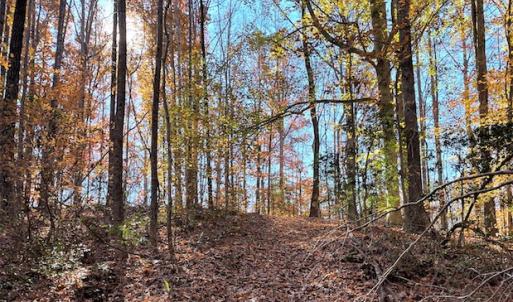 Photo #5 of SOLD property in Off Middlebrook Dr, Doswell, VA 16.8 acres
