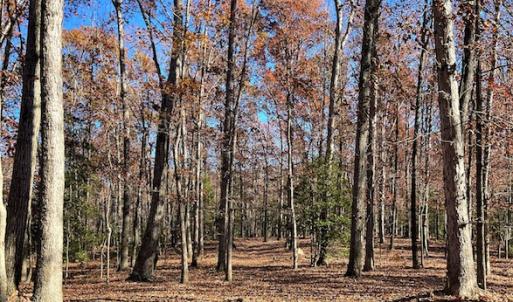 Photo #6 of SOLD property in Off Middlebrook Dr, Doswell, VA 16.8 acres