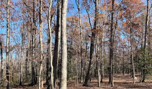 Photo #7 of SOLD property in Off Middlebrook Dr, Doswell, VA 16.8 acres