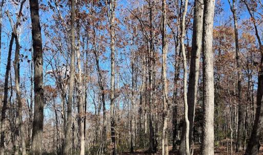 Photo #8 of SOLD property in Off Middlebrook Dr, Doswell, VA 16.8 acres