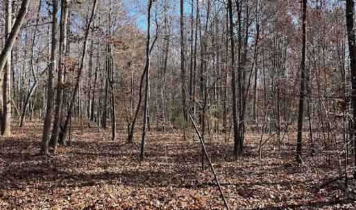 Photo #11 of SOLD property in Off Middlebrook Dr, Doswell, VA 13.8 acres