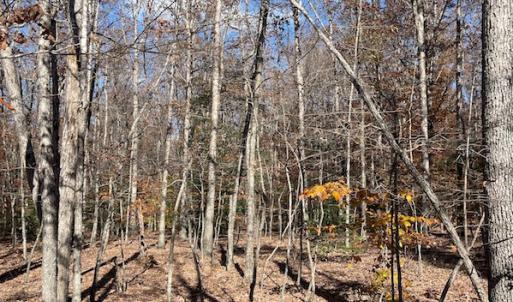 Photo #12 of SOLD property in Off Middlebrook Dr, Doswell, VA 13.8 acres