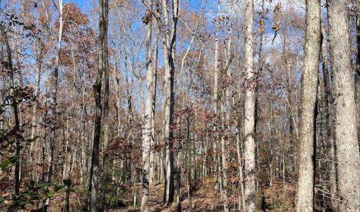 Photo #13 of SOLD property in Off Middlebrook Dr, Doswell, VA 13.8 acres