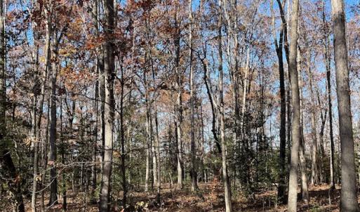 Photo #14 of SOLD property in Off Middlebrook Dr, Doswell, VA 13.8 acres