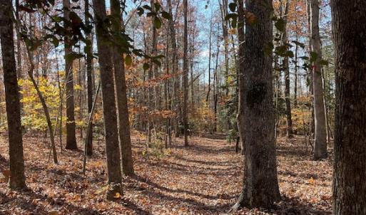 Photo #15 of SOLD property in Off Middlebrook Dr, Doswell, VA 13.8 acres