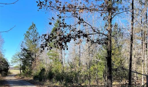 Photo #18 of SOLD property in Off Middlebrook Dr, Doswell, VA 13.8 acres