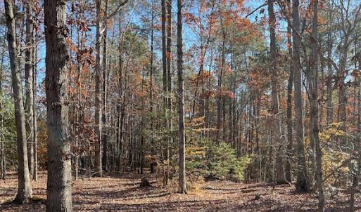 Photo #2 of SOLD property in Off Middlebrook Dr, Doswell, VA 13.8 acres