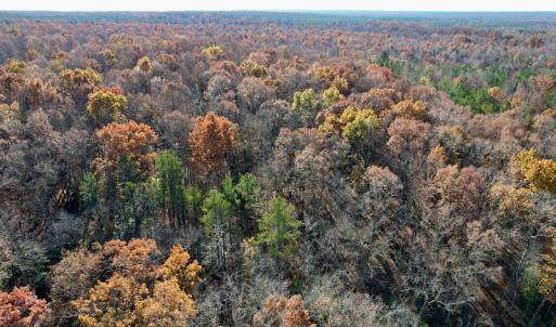 Photo #23 of SOLD property in Off Middlebrook Dr, Doswell, VA 13.8 acres
