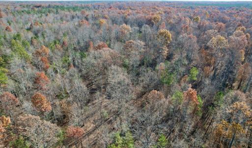 Photo #24 of SOLD property in Off Middlebrook Dr, Doswell, VA 13.8 acres