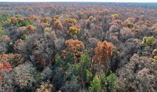 Photo #25 of SOLD property in Off Middlebrook Dr, Doswell, VA 13.8 acres